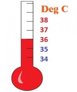 thermometers 36deg